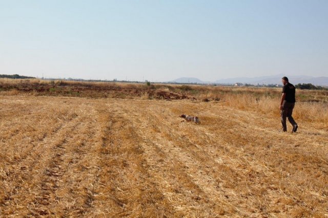 Αγωνες Α.Κ.Ι 18/6/2017